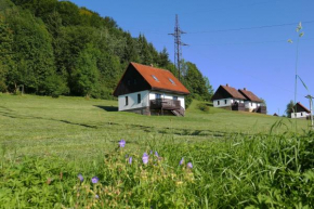 Green Valley Park, Starkov